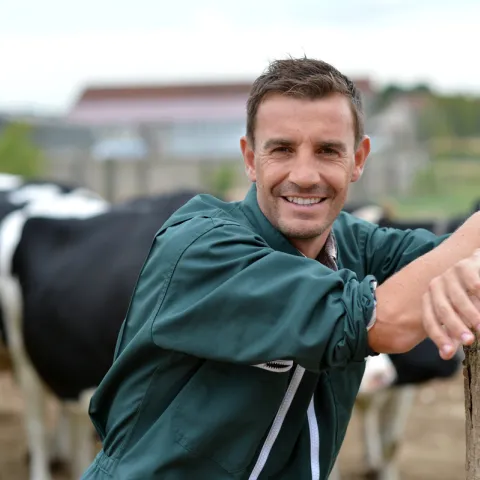 Datamars New story image