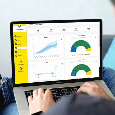  ANALISE O DESEMPENHO