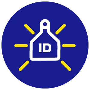 ID TAGS BLUE